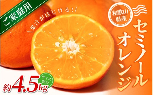 【ご家庭用】手選別 セミノールオレンジ 約4.5kg 和歌山県産 2S~2Lサイズ混合※2026年4月中旬～5月中旬頃に順次発送【mrmt027】 2271089 - 和歌山県紀美野町