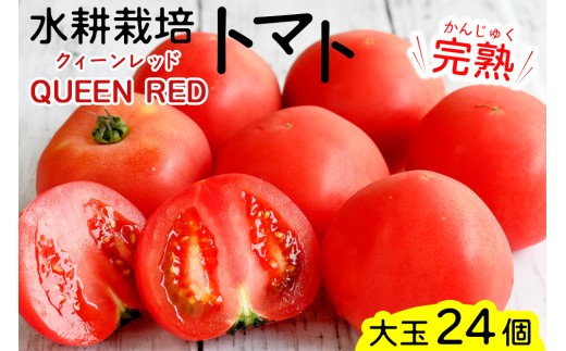 [期間限定] 水耕栽培トマト大玉 定期便 5回 (2026年1月から2026年5月)|甘い 新鮮 完熟 とまと 大玉 直送 野菜 リコピン サラダ イタリアン [0705]