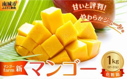 (2026年発送・先行予約)【マンゴーfarm新】 沖縄県南城市産マンゴー化粧箱1kg