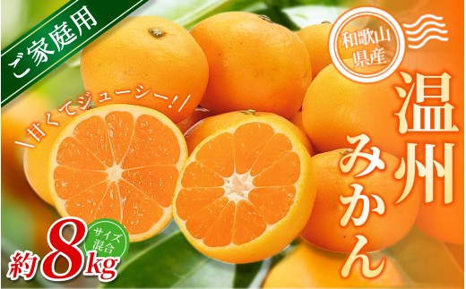 【ご家庭用】手選別 温州みかん 約8kg 和歌山県産 2S~2Lサイズ混合※2025年11月上旬～2026年2月中旬ごろに順次発送【mrmt042】