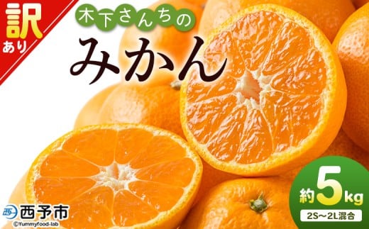 ＜木下さんちのみかん 訳あり 約5kg（2S～2Lサイズ混合）＞ 選べる わけあり 家庭用 柑橘 温州みかん うんしゅうみかん ミカン 蜜柑 果物 くだもの フルーツ 国産 特産品 木下農園 愛媛県 西予市【常温】『2025年11月中旬～12月下旬迄に順次出荷予定』