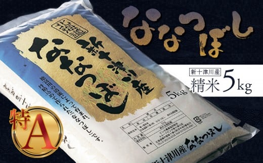 《先行受付》 【令和7年度産】ななつぼし 精米 5kg ｜ オンライン 申請 ふるさと納税 北海道 新十津川 北海道産 米 ブランド ブランド米 お米 北海道米 道産米 道産 ご飯 美味しい ギフト  贈り物 プレゼント お取り寄せ 新十津川町 日本穀物検定協会 食味ランキング 特Ａ【1100305】