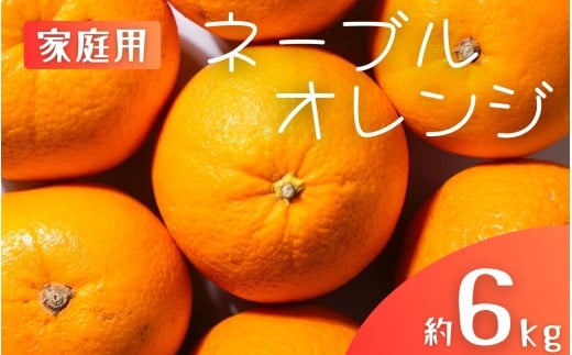 【家庭用】 森本農園の手選別 ネーブルオレンジ 約6kg 和歌山県産 サイズ混合 【2026年1月上旬～2月中旬頃に順次発送】【mrmt034】 