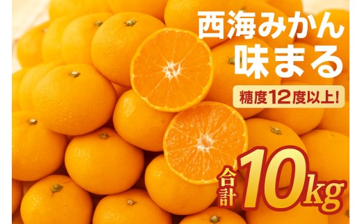 西海みかん｢味まる｣(10kg)