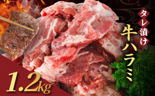 [№5334-0566]【訳あり】 タレ漬け 牛ハラミ 1.2kg 4P 肉 牛 牛肉 ハラミ 味付け タレ ハラミ肉 BBQ バーベキュー 焼き肉 焼肉 焼肉セット アウトドア キャンプ ギフト 真空 パック 小分け 300g 個包装 簡単 便利 冷凍 人気 京都 南丹市 神戸 ミートフーズ