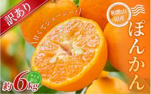 【訳あり】手選別 ぽんかん 約6kg 和歌山県産 2S~2Lサイズ混合※2026年1月上旬～2月上旬頃に順次発送【mrmt014】
