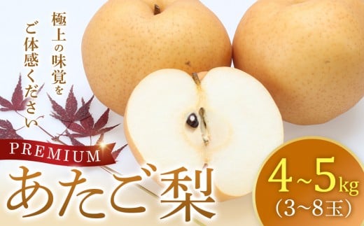 プレミアム あたご梨 4～5kg(3～8玉前後)梨の中でも一番巨大 鳥取県産 ※2025年11月下旬～2026年2月中旬頃に順次発送予定 【先行予約 梨 なし 果物 フルーツ くだもの 鳥取県 北栄町 おすすめ 人気 送料無料】