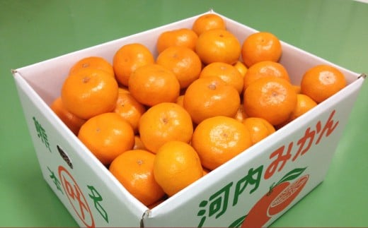 叶果樹園 みかん 家庭用 約9kg（S～Lサイズ混合80～100個） ミカン フルーツ 果物 くだもの サイズ混合 常温 国産 【2025年10月下旬～12月上旬迄順次発送予定】