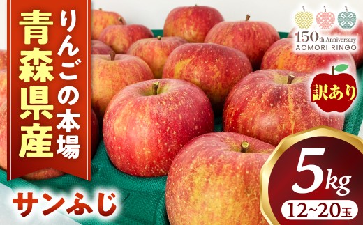 【訳あり】りんご【サンふじ】約5kg（12～20玉）【2025年産・先行予約】★2026年1月以降順次発送予定★ アップル 林檎 フルーツ 果物 果実  産地直送 農家直送 送料無料 青森県三戸町 R0609 2252173 - 青森県三戸町