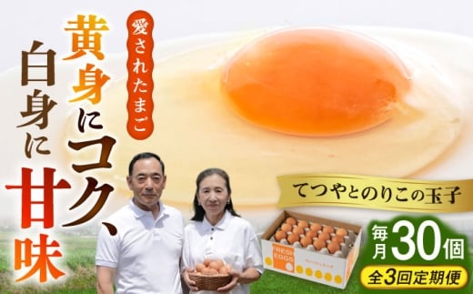 【 全3回 定期便 】てつやとのりこの 玉子 【 30個 × 3ヶ月 】《糸島》【板垣ファーム】卵  たまご   [AWD006]