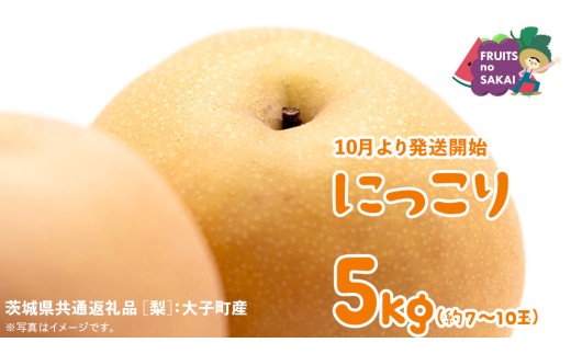 にっこり 梨 5kg （7～10玉）【2025年10月より発送開始】（茨城県共通返礼品 [梨]：大子町産） なし 旬 お取り寄せ フルーツ 甘い ジューシー 和梨 時期
