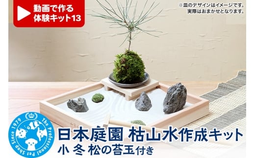 動画で作る 体験キット13 日本庭園 枯山水作成キット 小 冬 松の苔玉付き 皿お任せ