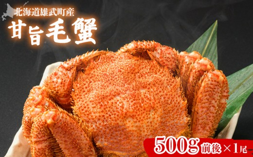 【北海道雄武町産】やわらか殻の甘旨毛蟹 500g前後1尾 | 毛ガニ カニ かに 蟹 殻付き 浜茹で ジューシー 海産物 海鮮 冷蔵 鮮度直送 柔らかい 食べやすい 蟹料理 ギフト おすすめ 贈答用 鮮魚 食材 海の幸 お取り寄せ 北海道 雄武町 雄武【07182】 2269268 - 北海道雄武町