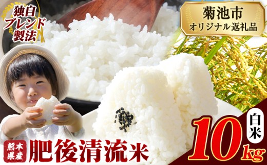 熊本県産 白米 肥後清流米 10kg 熊本県産 ふるさと納税 精米 米 こめ ふるさとのうぜい コメ お米 おこめ《9月下旬-11月上旬頃出荷》 2270881 - 熊本県菊池市