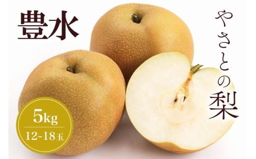 [ 2025年 先行予約 ] 筑波山麓やさとの梨 ( 豊水 ) 5kg ( 12玉 〜 18玉 ) 梨 なし ナシ 果物 フルーツ 品種 豊水梨 3L 2L L サイズ 5キロ 産地直送 農家直送 産直 国産 くだもの 甘い 酸味 ギフト 贈答用 家庭用 茨城県産 茨城県 石岡市 (A25-003)