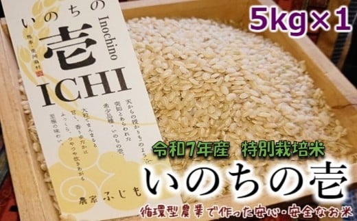 【数量限定！農家から直接お届け】令和7年産特別栽培米 いのちの壱(玄米)5kg×1