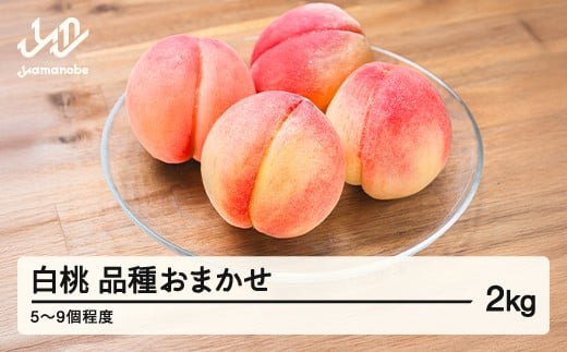 【先行予約】もも 白桃 品種おまかせ 約2kg 令和8年産 2026年産 山形県産 果物 送料無料 mm-mokox2000 ※沖縄・離島への配送不可