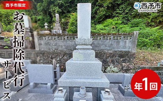 ＜お墓掃除 代行サービス（年1回）＞2基 墓所 墓石 お掃除 清掃 代理 代行 お手入れ お供え 供養 クリーン 花立 線香台 水鉢 雑草取り お墓参り お手入れ 徳山石材 愛媛県 西予市