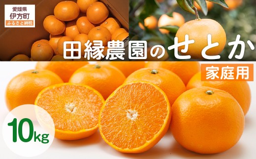 【先行予約】【家庭用】せとか 10kg ※離島への配送不可 (2026年3月5日より順次発送) 【 ふるさと納税 人気 おすすめ ランキング みかん ミカン 蜜柑 せとか フルーツ 果物 愛媛県産 田縁農園 愛媛県 伊方町 送料無料 】 IKTA038 2114383 - 愛媛県伊方町