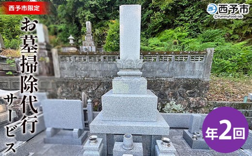 ＜お墓掃除 代行サービス（年2回）＞2基 墓所 墓石 お掃除 清掃 代理 代行 お手入れ お供え 供養 クリーン 花立 線香台 水鉢 雑草取り お墓参り お手入れ 徳山石材 愛媛県 西予市