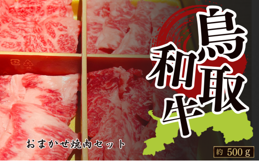 鳥取和牛 おまかせ焼肉セット 約500g