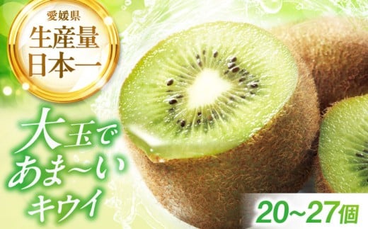 【先行予約】【2025年12月中旬から2026年1月下旬にかけて順次発送】キウイフルーツ（20個～27個入り） 愛媛県大洲市/幸野観光なし園 [AGBD004] 先行予約 キウイ キウイフルーツ 果物 くだもの フルーツ 愛媛県産 大洲市産 産地直送 おすすめ 人気 お取り寄せ 送料無料 贈答 ギフト