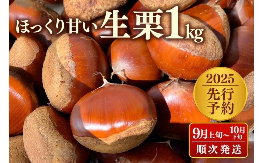 【2025先行予約】茨城県産　生栗1kg