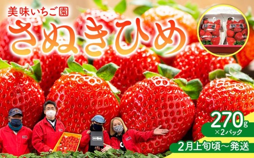 [2月上旬頃〜発送]美味いちご園「さぬきひめ」さぬきひめ 270g×2パック