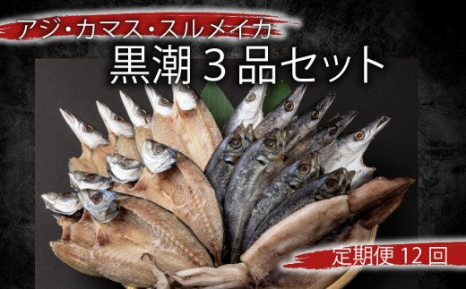 【定期便 毎月12回】 干物 黒潮セット アジ開き5枚 鯵 アジ あじ カマス開き5枚 かます トロカマス スルメイカ1枚 冷凍 人気 干物 詰め合わせ 大容量 海鮮 魚介 白身魚 室戸海洋深層水 高知県室戸市 ご飯のお供 朝食 晩酌 酒の肴 おつまみ BBQ ギフト 贈答 グルメ 送料無料 iz065-sku