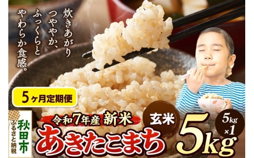 《令和7年産 新米先行受付》《定期便5ヶ月》 米 あきたこまち 5kg 【玄米】 秋田県産 2271231 - 秋田県秋田市