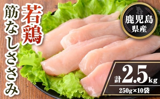 isa709 鹿児島県産 若鶏筋なしささみセット (計2.5kg・250g×10袋) 鹿児島県産 小分け 鶏肉 鳥肉 ささみ ササミ 筋なし 真空 真空パック サラダ 冷凍 【TRINITY】 2316489 - 鹿児島県伊佐市