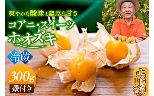 《冷蔵》コアニ・スイーツホオズキ 300g（150g×2パック） 殻付き 生食用 ほおずき ゴールデンベリー スーパーフード たじゅうろう農園
