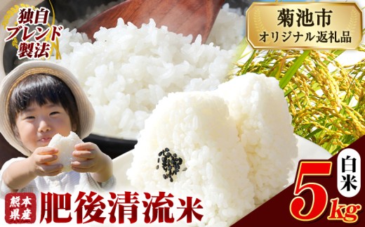 熊本県産 白米 肥後清流米 5kg 熊本県産 ふるさと納税 精米 米 こめ ふるさとのうぜい コメ お米 おこめ《9月下旬-11月上旬頃出荷》 2270879 - 熊本県菊池市