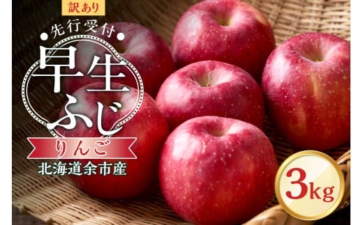 【先行予約：2025年10月中旬より発送】訳アリ りんご（早生ふじ）3kg【北海道余市町産】