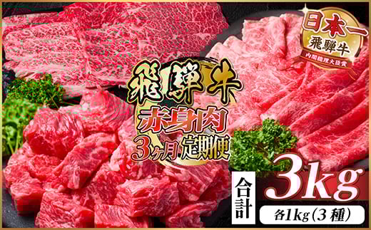 レビューキャンペーン実施中!＜毎月定期便＞飛騨牛 赤身肉定期便 計3kg全3回【4059529】