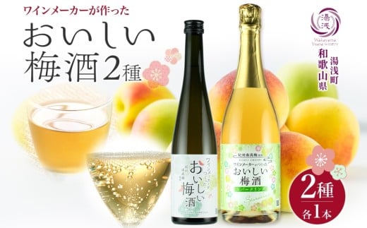 KG1009_ 梅酒 2種 セット 湯浅ワイナリー おいしい梅酒 500ml おいしい梅酒スパークリング 750ml 各1本 計 2本 甘口 12度 肉厚 紀州南高梅 隠し味 白ワイン オンザロック ソーダ割り お酒 酒 リキュール 果実酒 お取り寄せ 和歌山県 湯浅町 送料無料