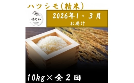 ＜発送月固定定期便＞＜先行予約＞岐阜県産ハツシモ(精米)10kg＜1・3月発送＞＜隔月定期便＞全2回【4073154】