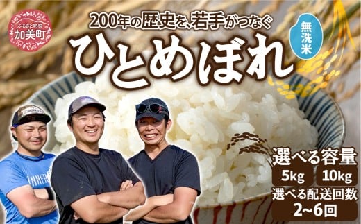 [無洗米][選べる配送回数] 米 宮城県産 ひとめぼれ 5kg 10kg 定期便 [ 令和7年産 新米予約 ] 白米 精米 ご飯 ごはん コメ こめ お米 小分け 家庭用 結心ファーム [ 宮城県 加美町 ]