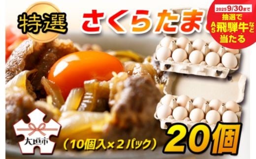 [秋の大感謝祭開催中!飛騨牛が抽選で当たる]特選 さくらたまご 20個(10個入×2パック)