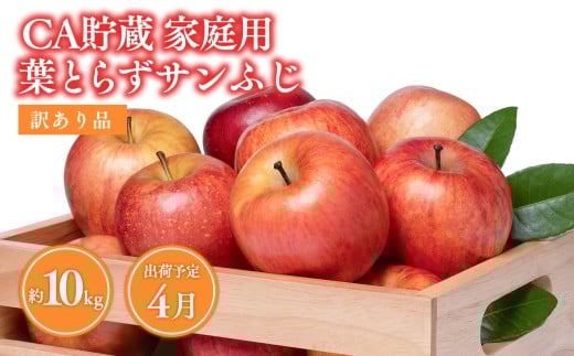 4月CA貯蔵 家庭用 葉とらずサンふじ 約10kg 訳あり 家庭用【青森県 平川市 森山商店 】4月発送 家庭用 りんご リンゴ 林檎 フルーツ 平川 青森りんご サンふじ ふじ 葉とらず 家庭用 