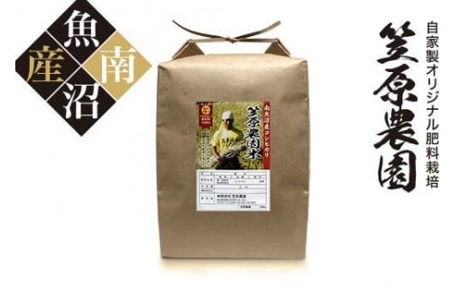 [令和7年産新米予約/令和7年(2025年)9月下旬より順次発送]南魚沼産 笠原農園米 コシヒカリ玄米 5kg
