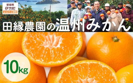 【先行予約】【数量限定】田縁農園の温州みかん（生果）10kg ※離島への配送不可 （2025年11月10日より順次発送） 【 ふるさと納税 人気 おすすめ ランキング みかん ミカン 蜜柑 温州みかん 温州ミカン フルーツ 果物 愛媛 県産 田縁農園 愛媛県 伊方町 送料無料 】 IKTA025 2114370 - 愛媛県伊方町