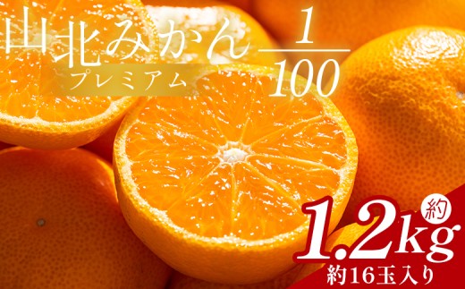 山北プレミアムみかん 1/100(サイズ：S) 1.2kg 約16玉入り - みかん ミカン ﾐｶﾝ 国産 柑橘 柑橘類 果実 果物 フルーツ 青果 温州みかん みかん 蜜柑 ミカン 高知県 香南市 常温 yk-0056 2270175 - 高知県香南市