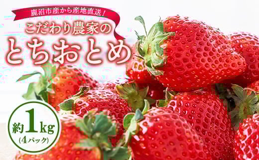 こだわり農家のとちおとめ 1kg 4パック ※2026年1月上旬～3月下旬頃に順次発送予定 ※離島への配送不可