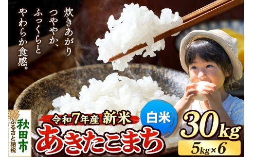 《令和7年産 新米先行受付》 米 あきたこまち 30kg（5kg×6袋） 【白米】 秋田県産
