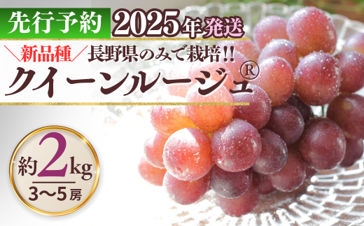  クイーンルージュ®  約2kg ( 3~5房 )｜ 果物 フルーツ 赤ぶどう 葡萄 ブドウ 種無し 種なし 皮ごと 千曲市 長野県 信州 2197488 - 長野県千曲市