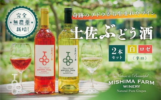 土佐ぶどう酒2本セット(白・ロゼ) 2271568 - 高知県土佐町