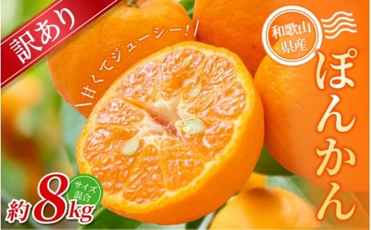 【訳あり】手選別 ぽんかん 約8kg 和歌山県産 2S~2Lサイズ混合※2026年1月上旬～2月上旬頃に順次発送【mrmt045】