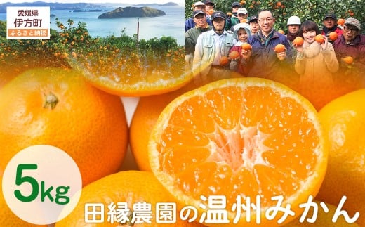 【先行予約】【数量限定】田縁農園の温州みかん(生果)5kg (2025年11月10日より順次発送) 【 ふるさと納税 人気 おすすめ ランキング みかん ミカン 蜜柑 温州みかん 温州ミカン フルーツ 果物 愛媛県産 田縁農園 愛媛県 伊方町 送料無料 】 IKTA002 2114348 - 愛媛県伊方町