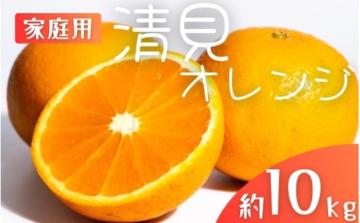 【先行予約】【家庭用】 森本農園の手選別 清見オレンジ 約10kg 和歌山県産 サイズ混合 ※2026年2月上旬～5月中旬頃順次発送 / きよみ 清見 柑橘 ご家庭用 期間限定 由良町 果物 フルーツ 和歌山県【mrmt039A】
